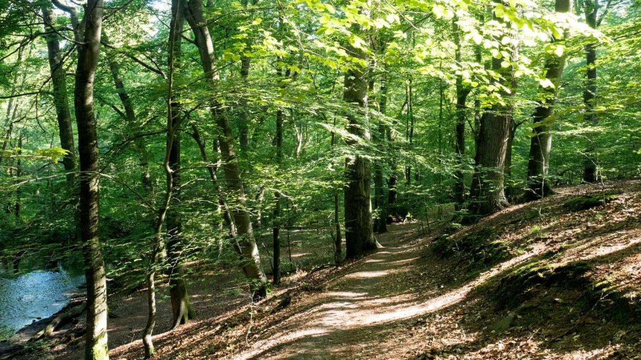 Itm Hotel Bettkaestchen Am Sachsenwald Reinbek Esterno foto